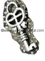 CHARMS PENDENT : KEY SILVER 
18 X 8MM