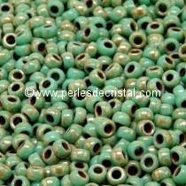 10GR ROCAILLE MATUBO 7/0 - 3.5MM 
COULEUR OPAQUE GREEN TURQUOISE PICASSO