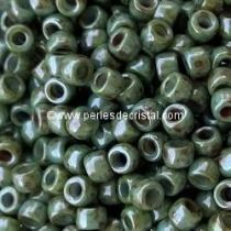 10GR MATUBO Czech Glass Seed Beads 8/0 (3mm)
COLOURS OPAQUE BLUE GREEN CERAMIC LOOK 03000/65431