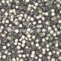 5gr SEED BEADS MIYUKI DELICA 11/0 - 2MM COLORIS DURACOAT DYED ACACIA SILVER LINED DB2185